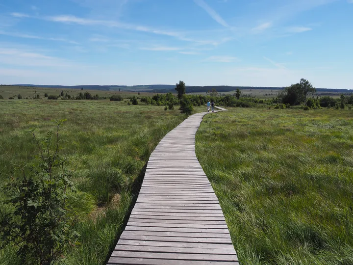 Signal de Botrange (Belgium)